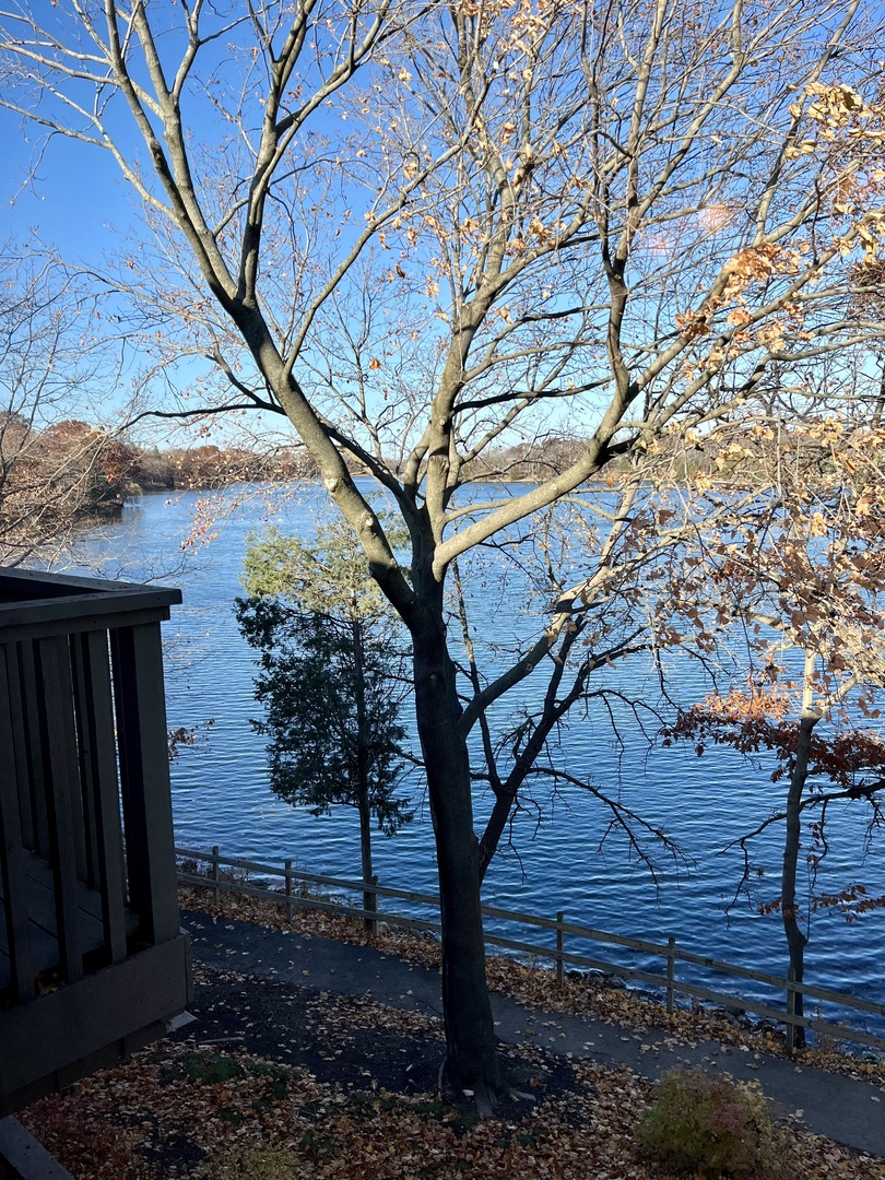 33 Shoreline Road, Unit B Lake Barrington, IL 60010 - Photo 10 of 49 a backyard of a house