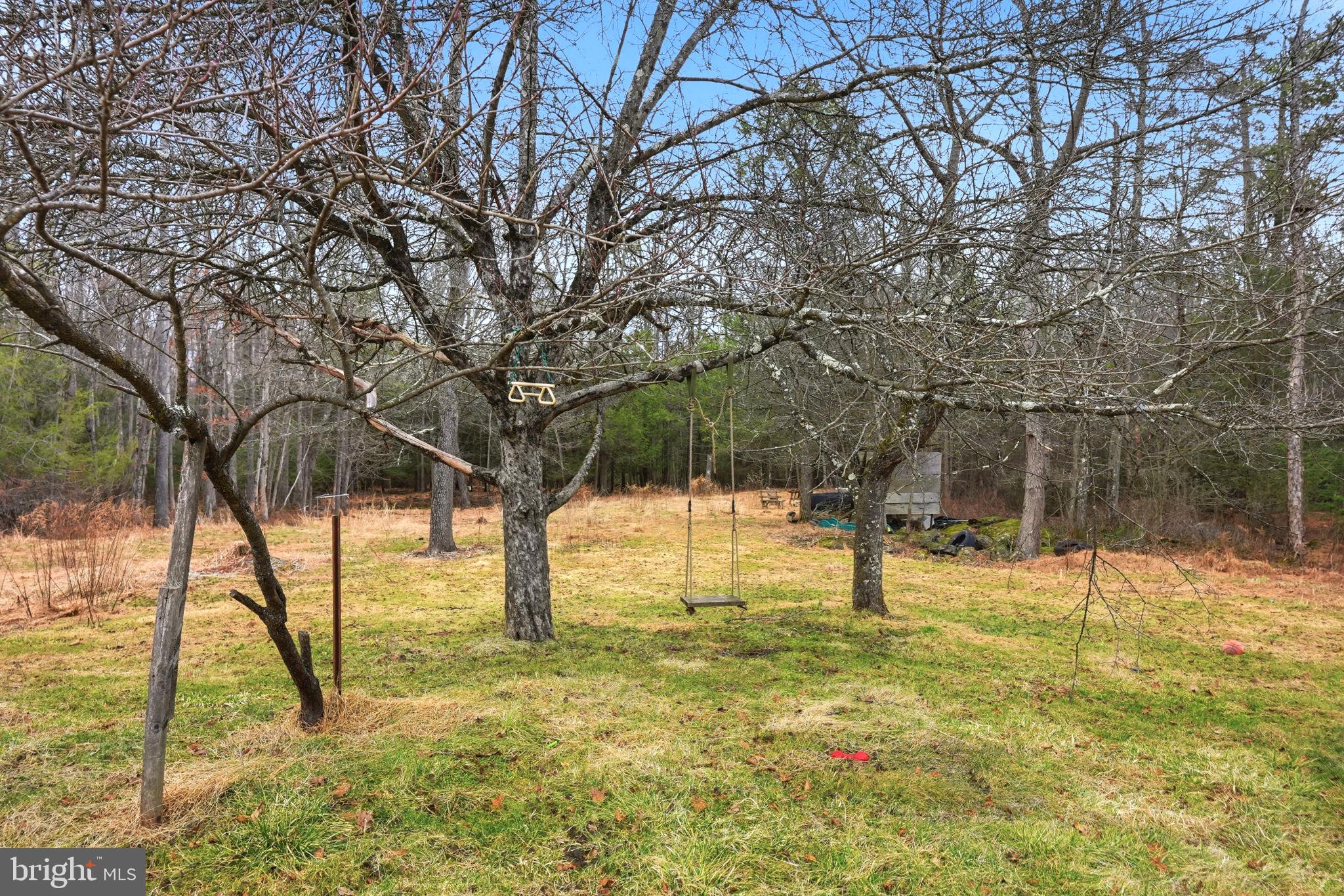 66 Back Road Barnesville, PA 18214 - Photo 52 of 59