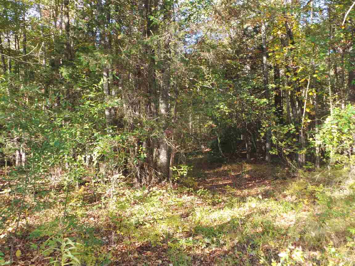 565 Soap Stone Road Spartanburg, SC 29307 - Photo 3 of 10