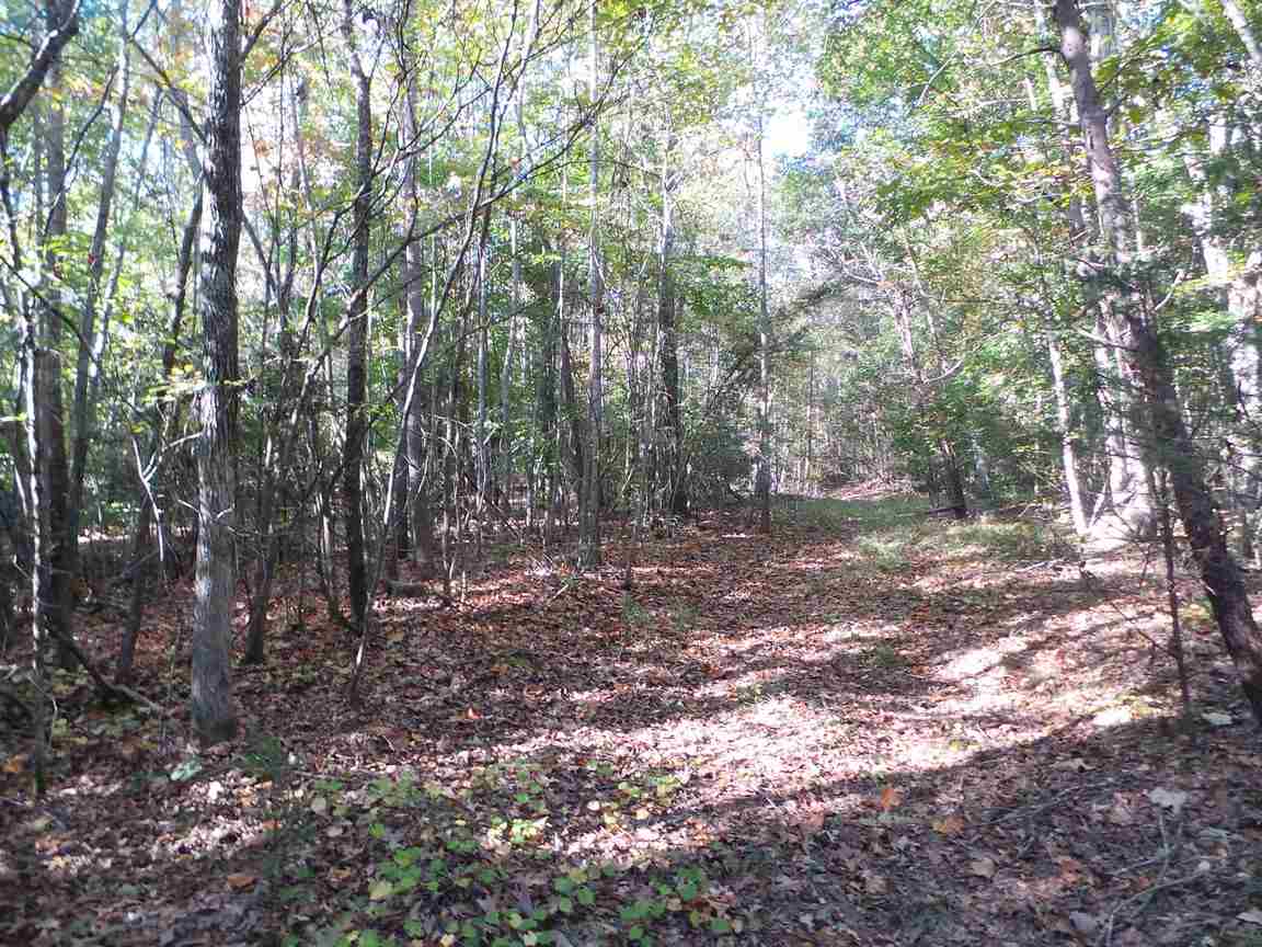 565 Soap Stone Road Spartanburg, SC 29307 - Photo 4 of 10