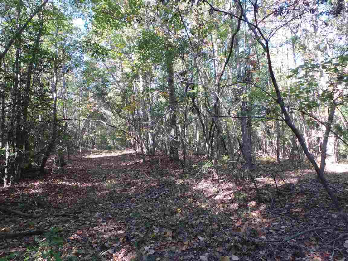 565 Soap Stone Road Spartanburg, SC 29307 - Photo 6 of 10