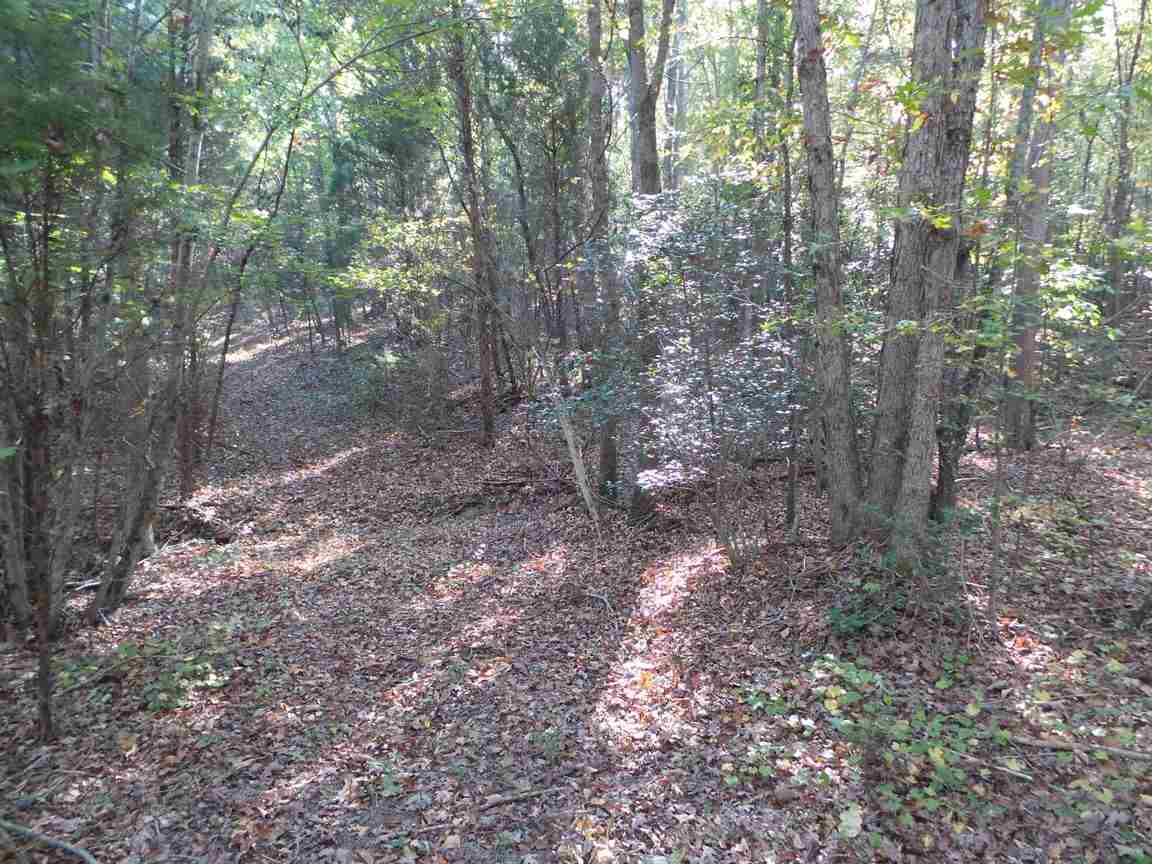 565 Soap Stone Road Spartanburg, SC 29307 - Photo 8 of 10
