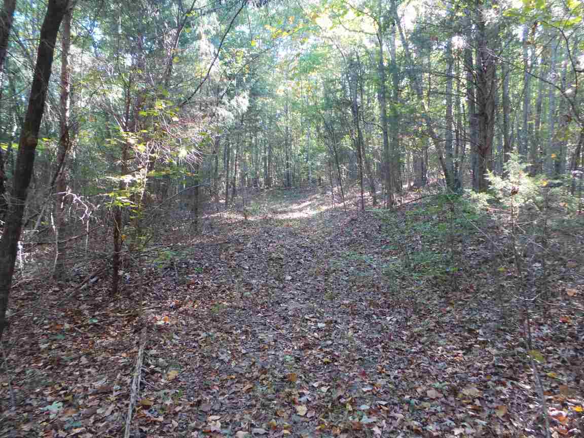 565 Soap Stone Road Spartanburg, SC 29307 - Photo 10 of 10