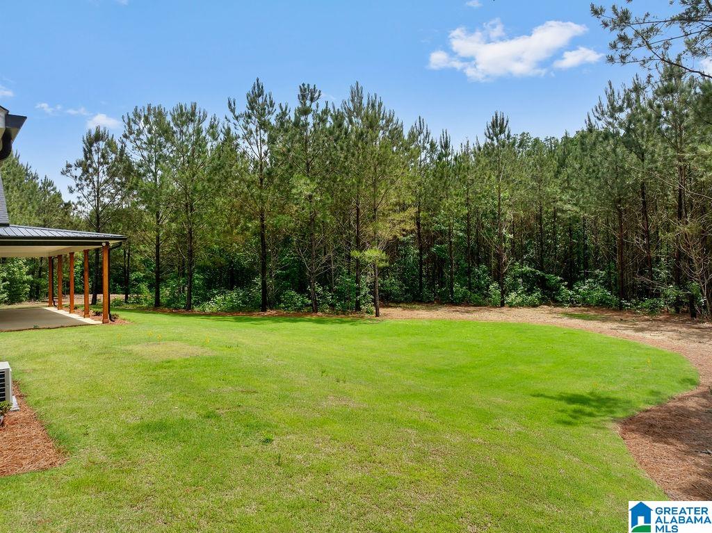 1007 Brakefield Dairy Road Jasper, AL 35503 - Photo 54 of 54