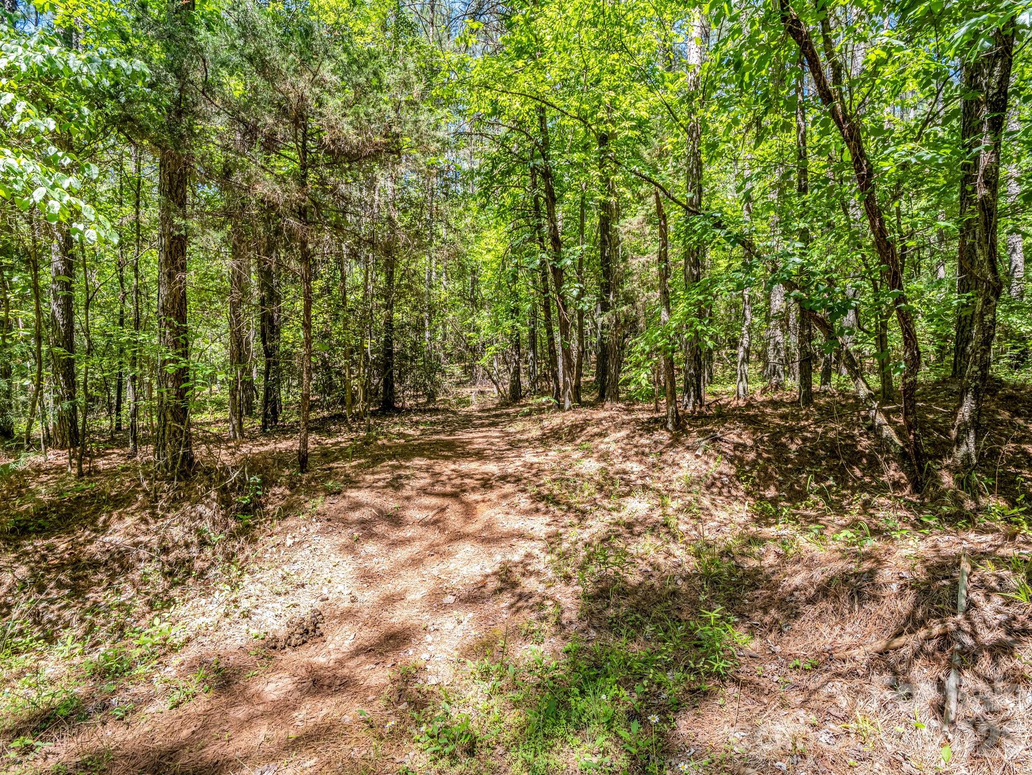 0 Jim Dobbins Road Rutherfordton, NC 28139 - Photo 30 of 39 a view of outdoor space with trees