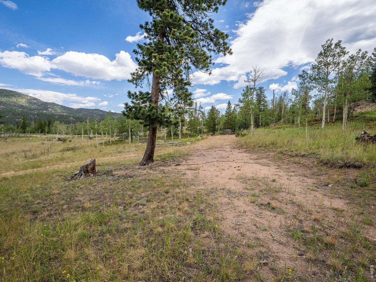 22 Tami Road Red Feather Lakes, CO 80545 - Photo 5 of 33 Driveway entrance leading to the camping spot.