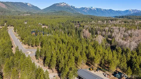 a view of a lush green field with a mountain in the background