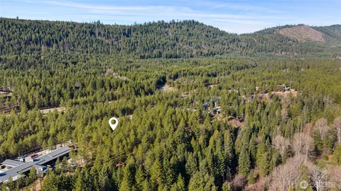 a view of a lush green forest with trees in the background