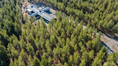 a view of a bunch of trees and bushes