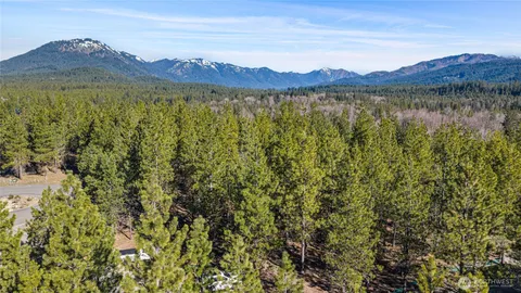 an aerial view of mountain with tree in the background
