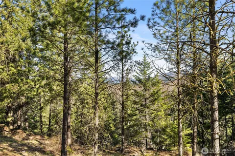 a view of outdoor space and a yard