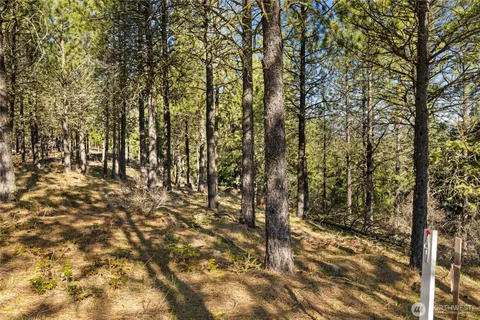 a view of park space