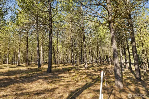 a view of a yard with trees