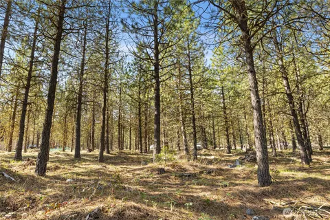 a view of a yard with plants and wooden fence