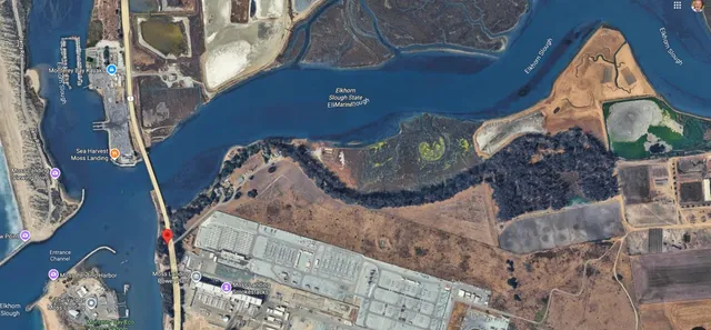 a view of a garden with a building in the background