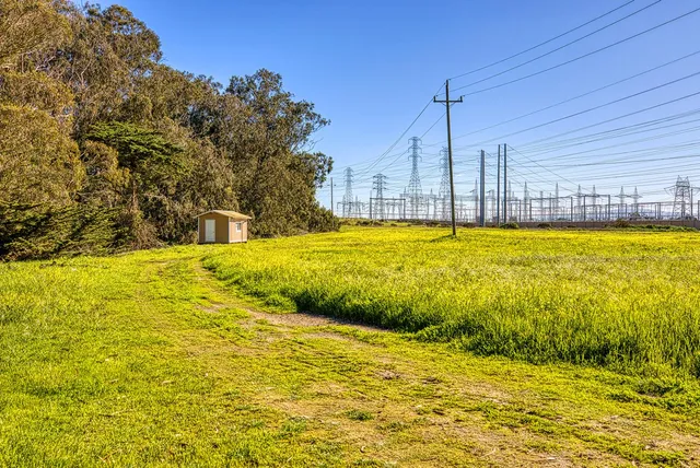 a view of a pathway with a wrought fence