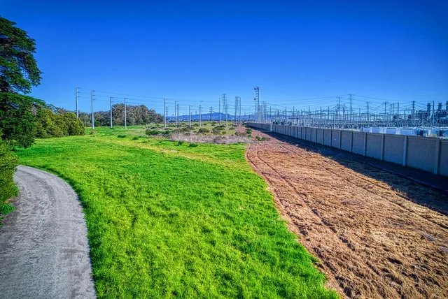 a view of a field with an ocean