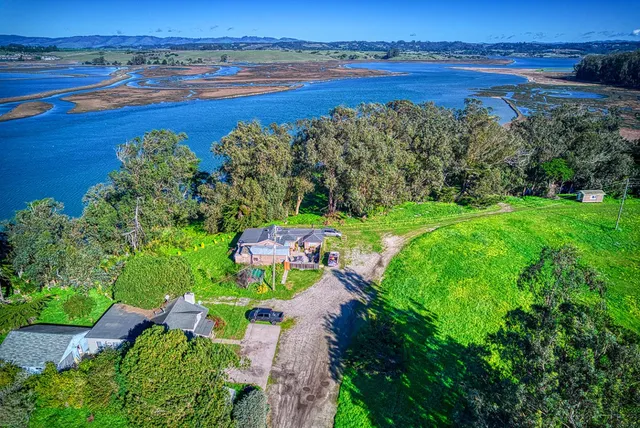 a view of a lake with a flower garden