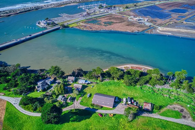 a view of a flower in a field