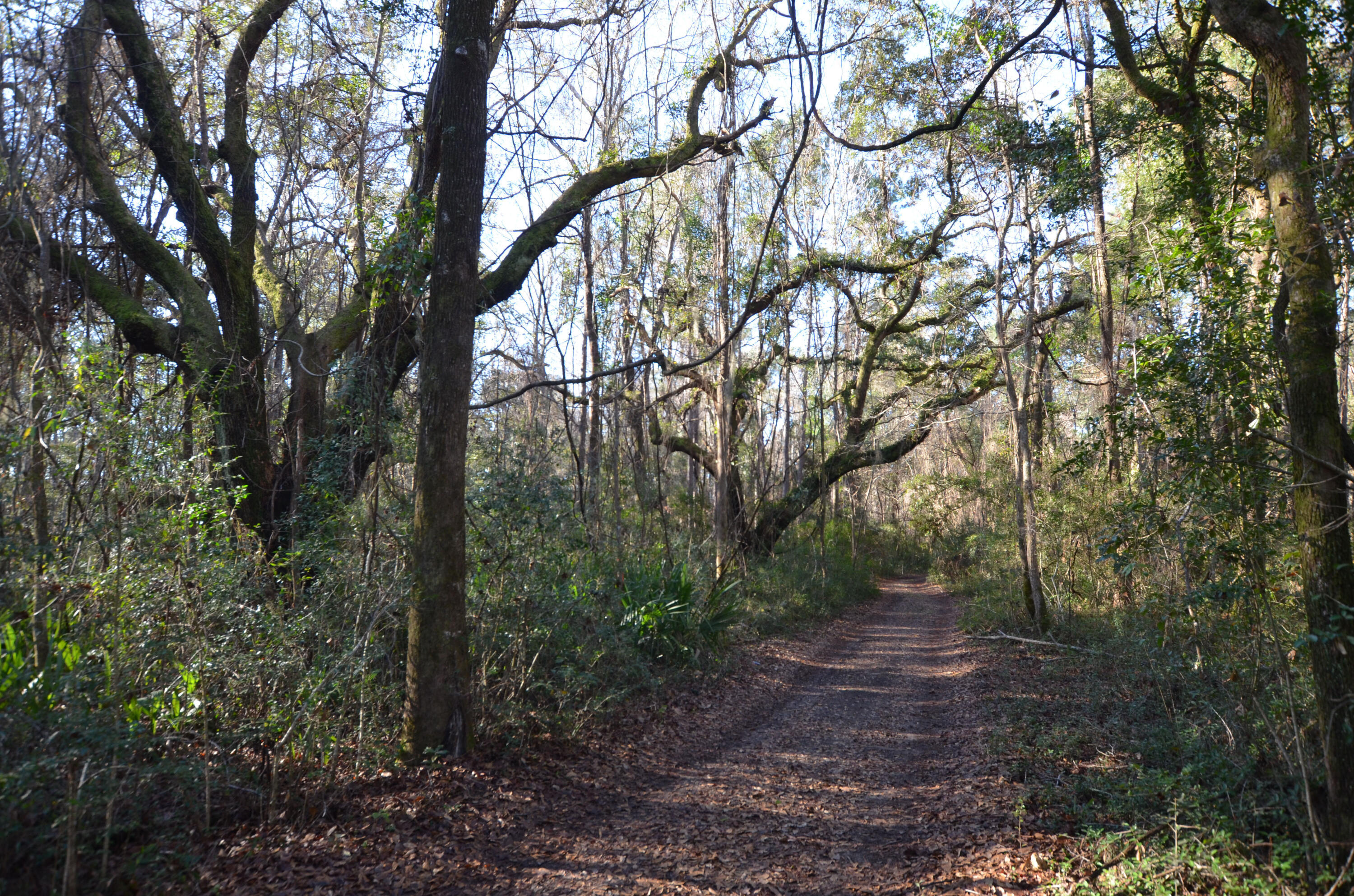 1883 Old Collins Creek Road McClellanville, SC 29458 - Photo 5 of 12 Entrance