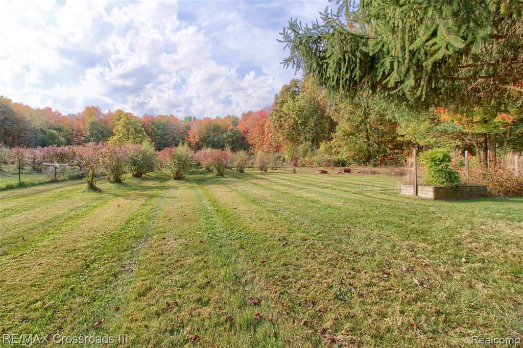 38111 Judd Road Belleville, MI 48111 - Photo 36 of 39