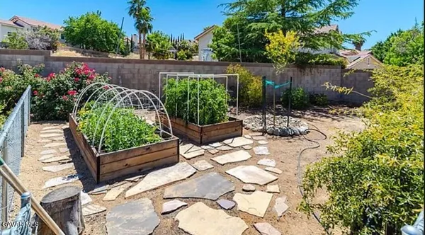 a view of a backyard with plants