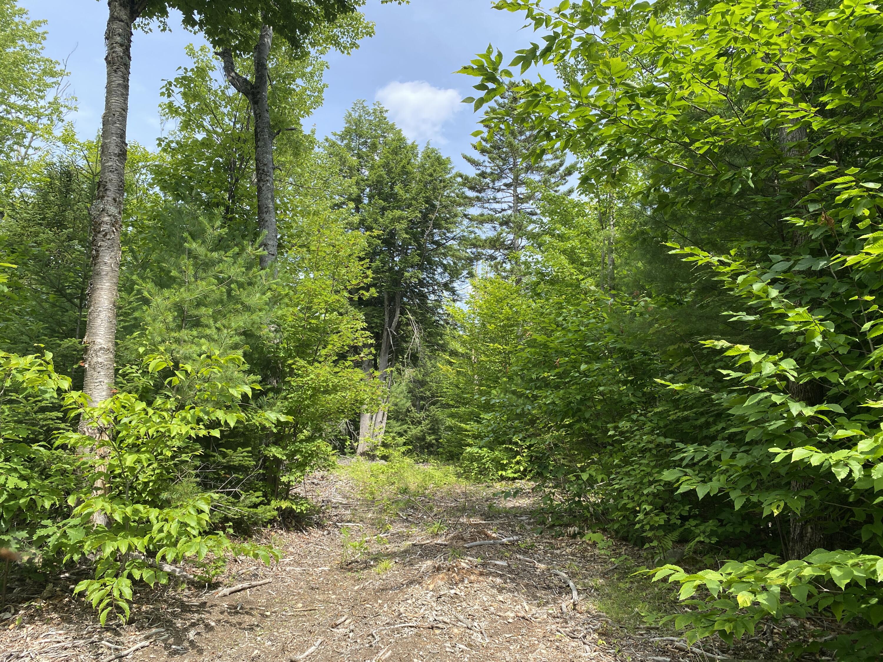 1511 Otis Road Ellsworth, ME 04605 - Photo 9 of 15 IMG_3909