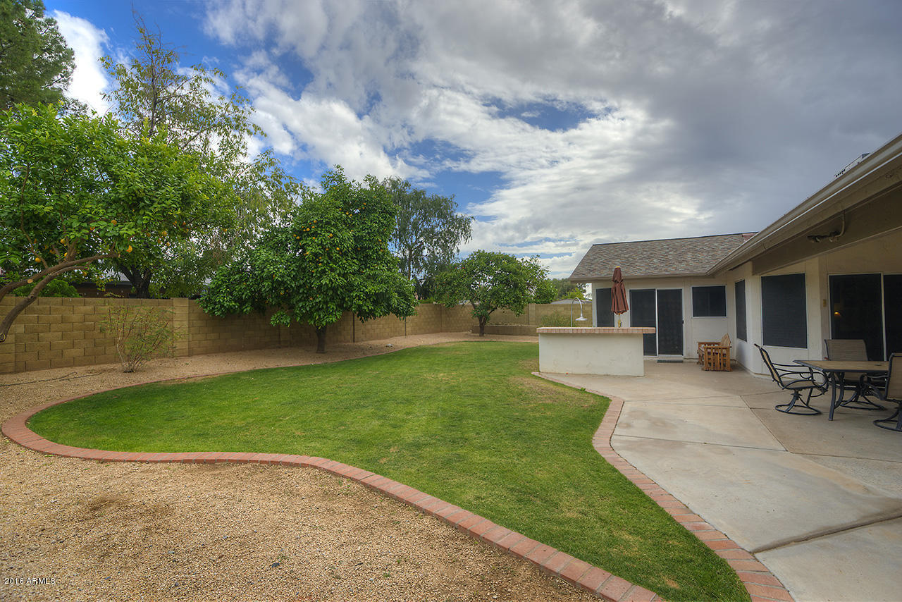 907 East Grandview Road Phoenix, AZ 85022 - Photo 15 of 17 Back Yard 2