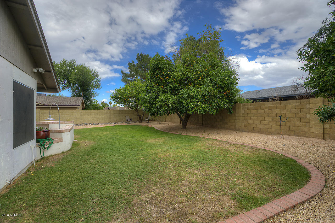 907 East Grandview Road Phoenix, AZ 85022 - Photo 16 of 17 Back Yard 1