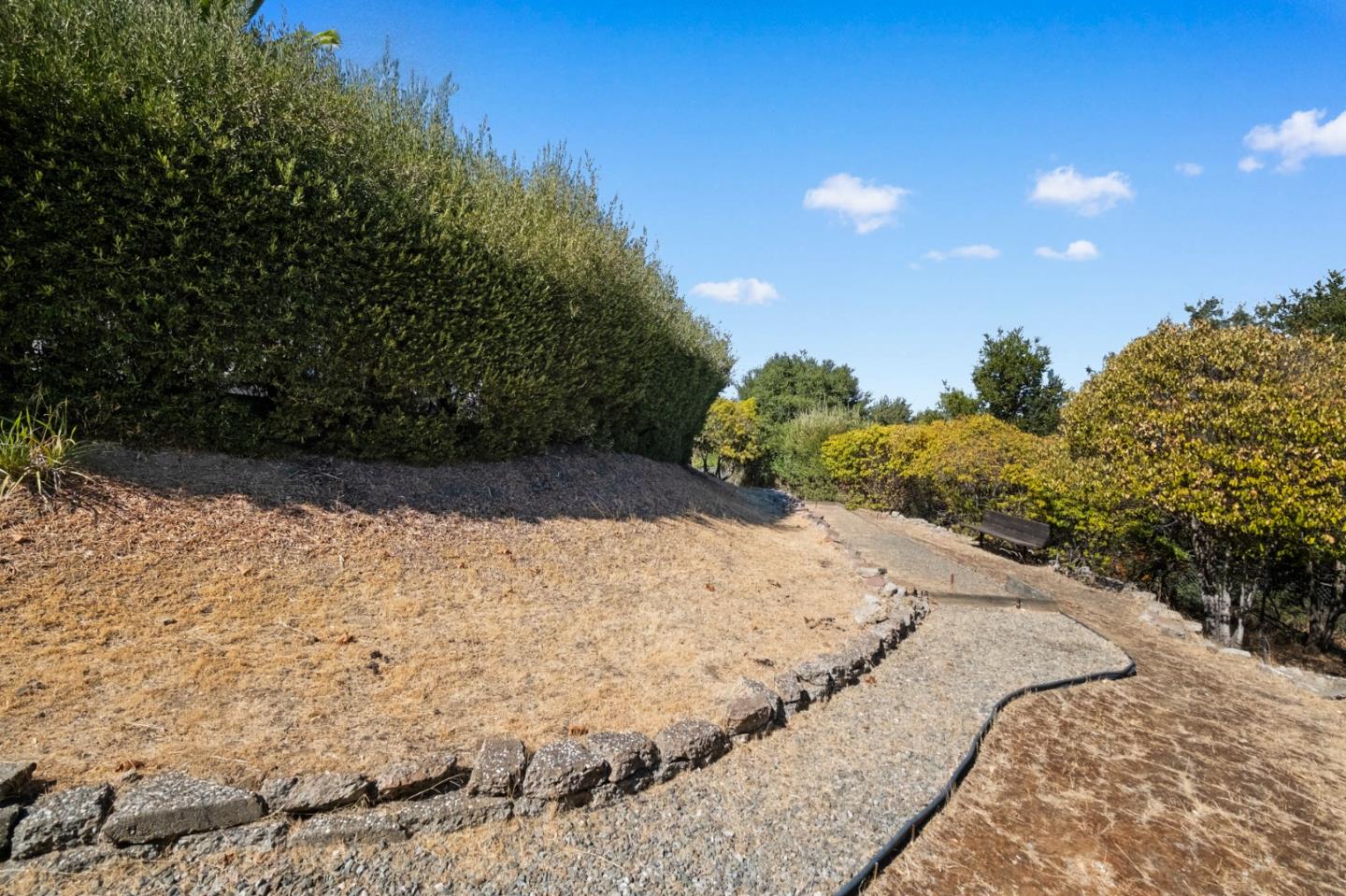 681 Upland Road Redwood City, CA 94062 - Photo 72 of 85 a view of a dry yard with trees