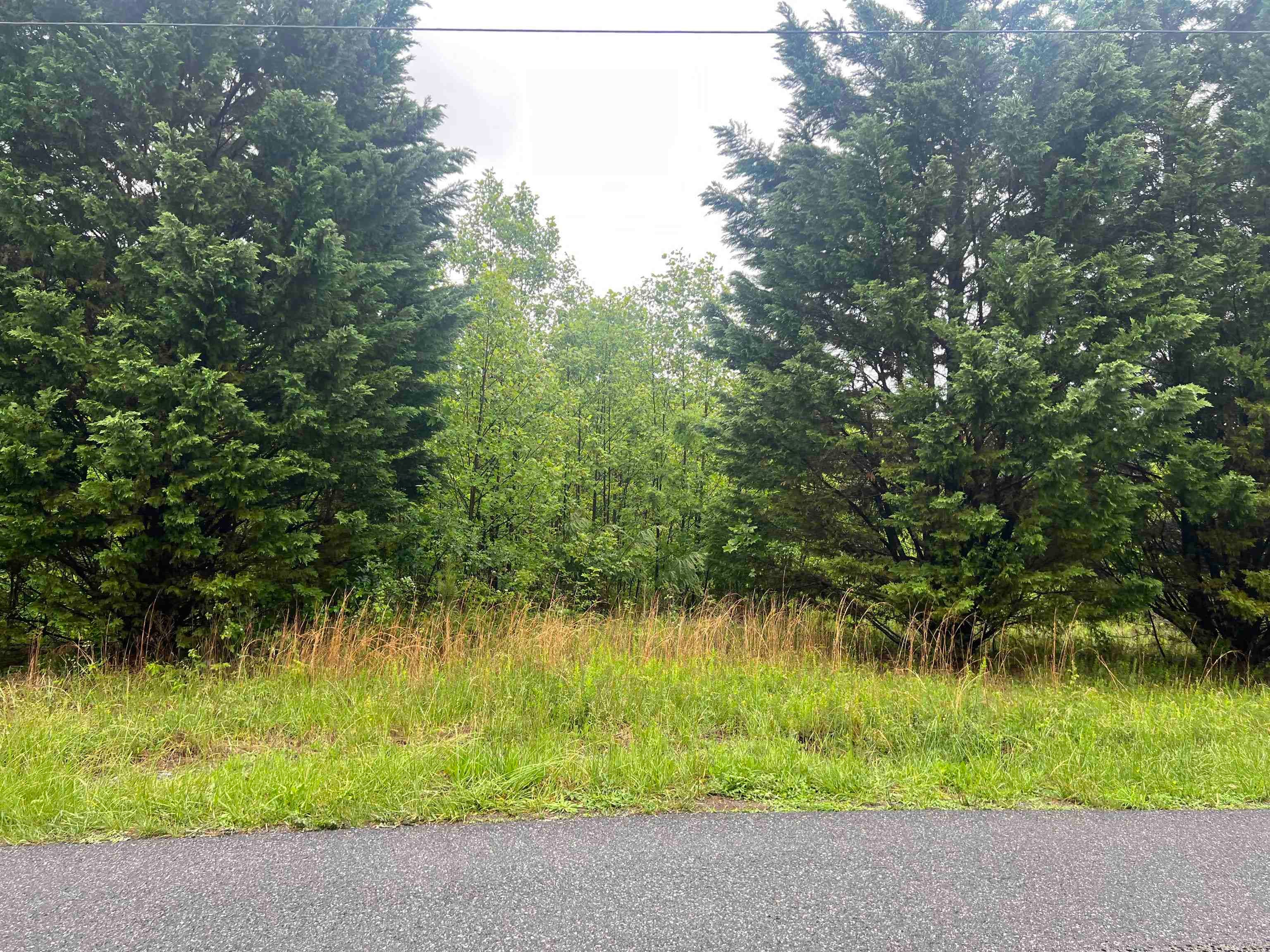 Tbd Nemmo Road Vinton, VA 24179 - Photo 1 of 16 Gallery Image 1