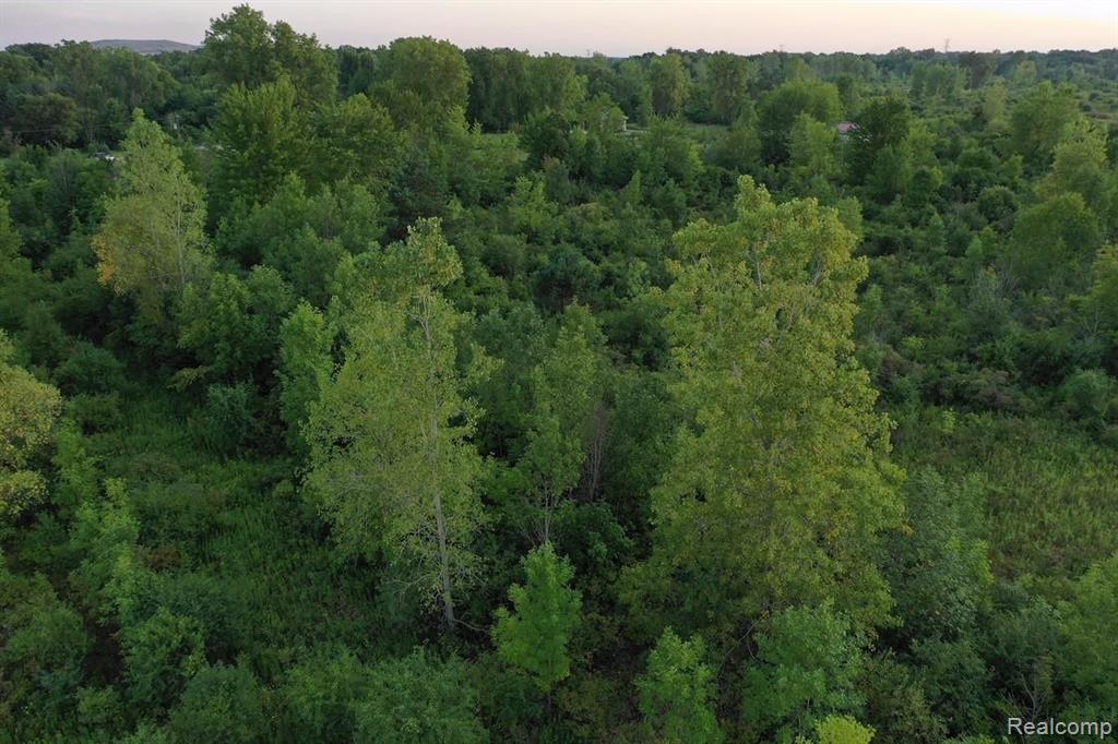 0 Eight Eight Mile Road Northville, MI 48167 - Photo 4 of 11