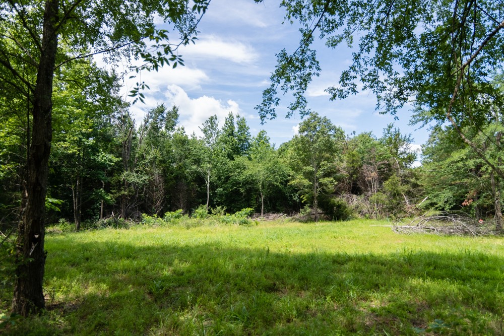 7636 Liberty Road Scotts Hill, TN 38374 - Photo 58 of 78