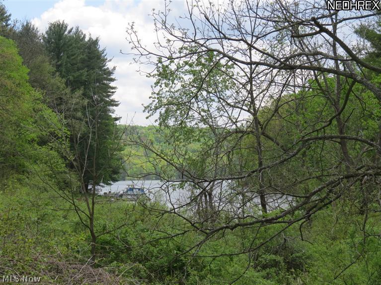 Dublin Road Bowerston, OH 44695 - Photo 1 of 5 Leesville Lake view from private land!