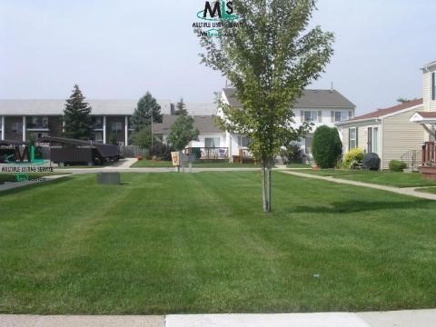 28219 Raleigh Crescent New Baltimore, MI 48051 - Photo 8 of 8 316549-7.JPG