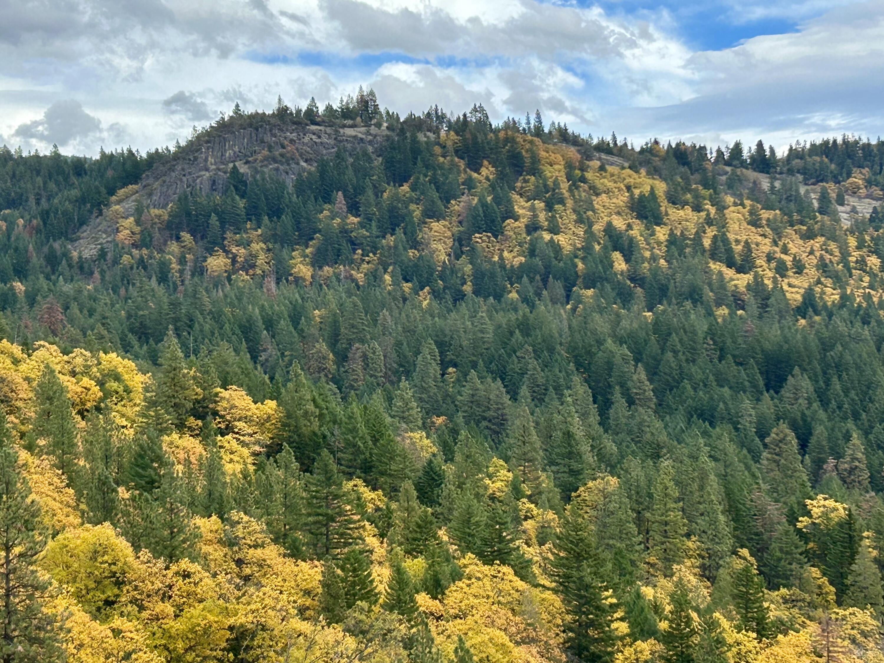 1940 Soda Mountain Road Ashland, OR 97520 - Photo 45 of 48 IMG_2082