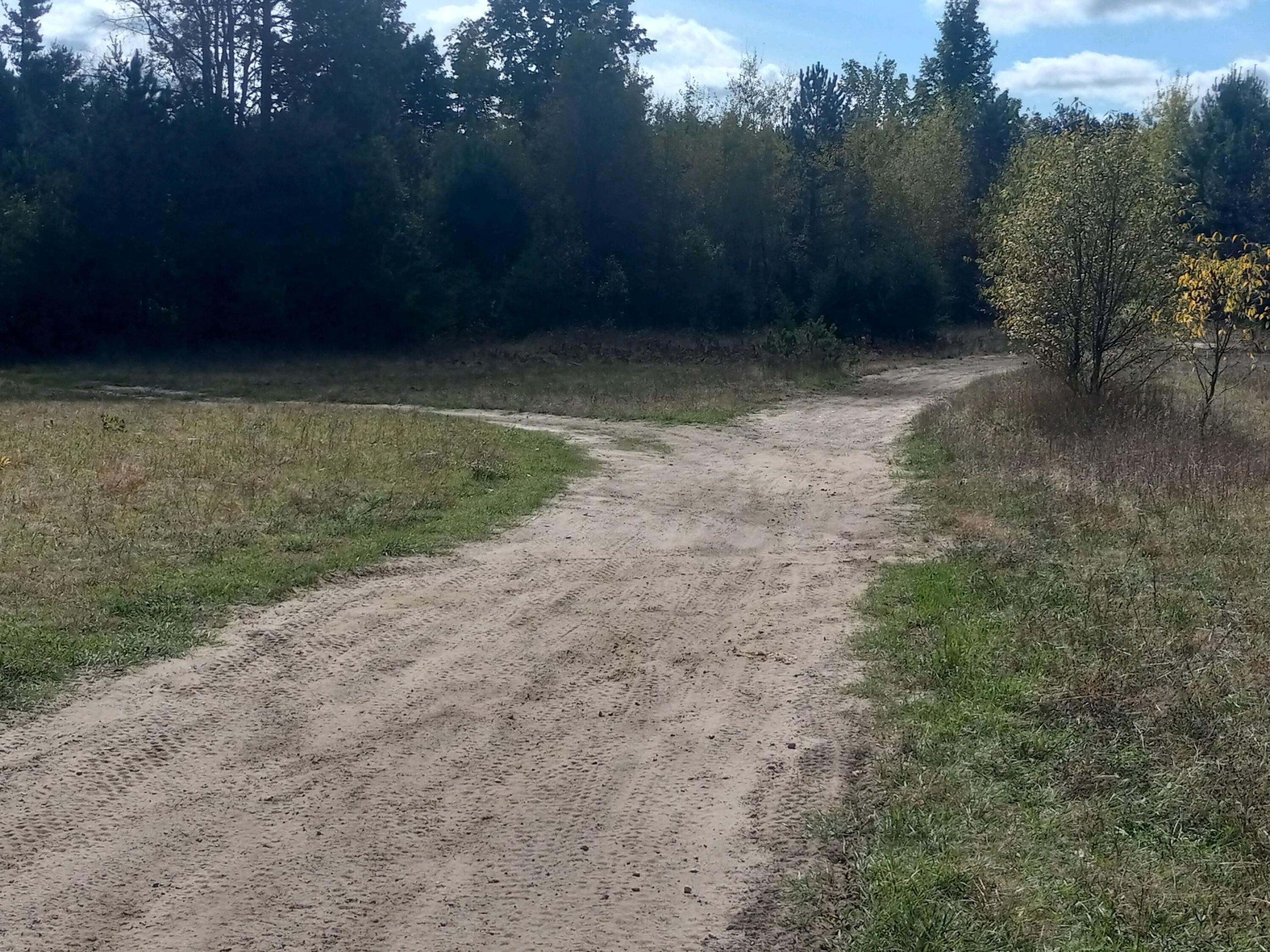 13744 Lakola Road Leroy, MI 49655 - Photo 8 of 10 20241004_130025