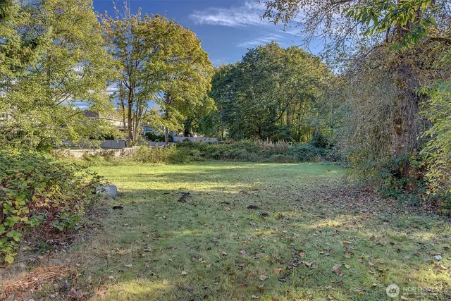 a view of a field with trees in the background