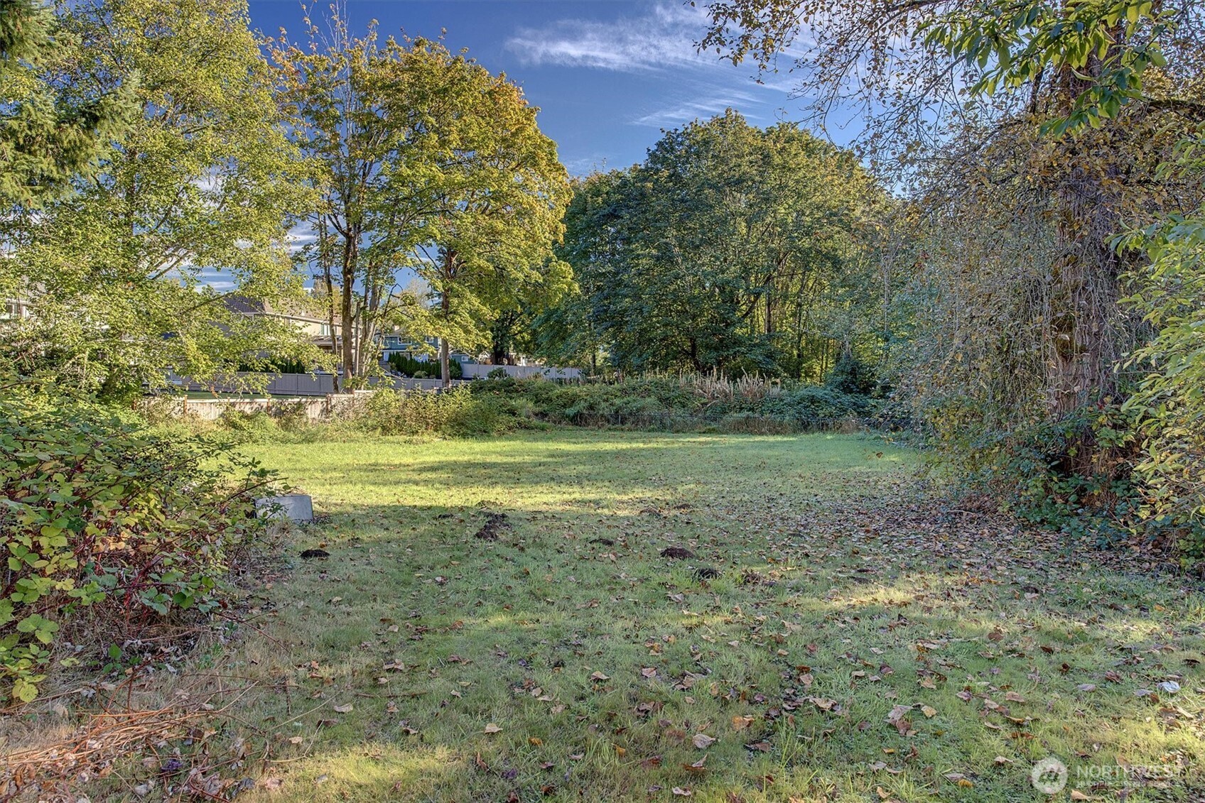 14024 169th Avenue Southeast Renton, WA 98059 - Photo 31 of 35