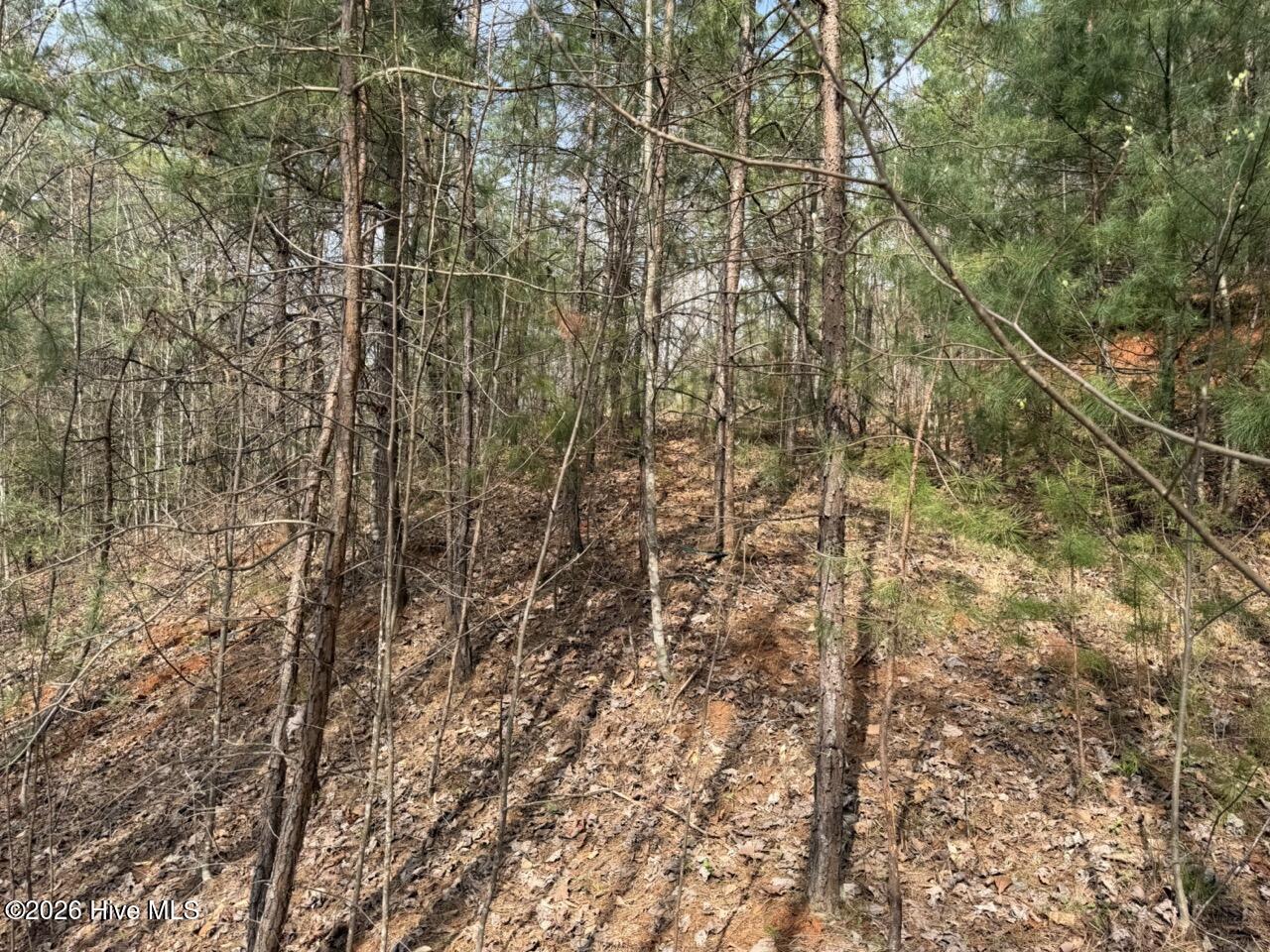 0 Ogreeta Road Murphy, NC 28906 - Photo 21 of 47