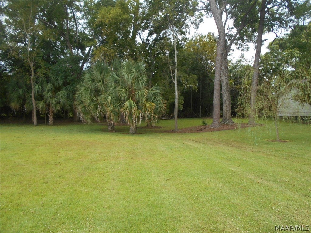 113 Line Street Samson, AL 36477 - Photo 7 of 28 Gallery Image 7