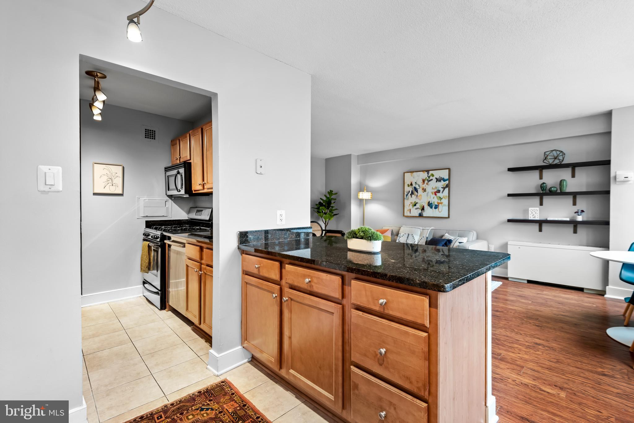 1220 Blair Mill Road, Unit 304 Silver Spring, MD 20910 - Photo 7 of 21 Gallery Image 7