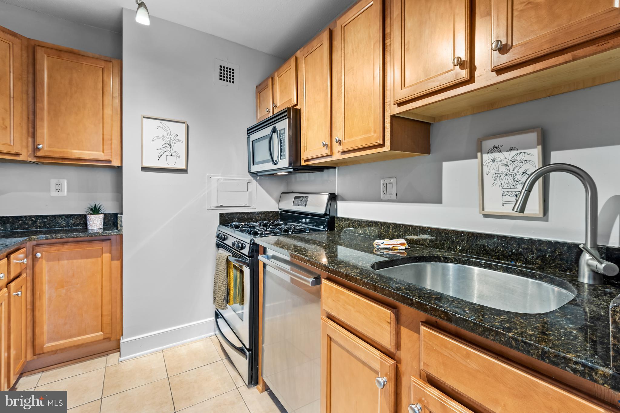 1220 Blair Mill Road, Unit 304 Silver Spring, MD 20910 - Photo 8 of 21 Gallery Image 8
