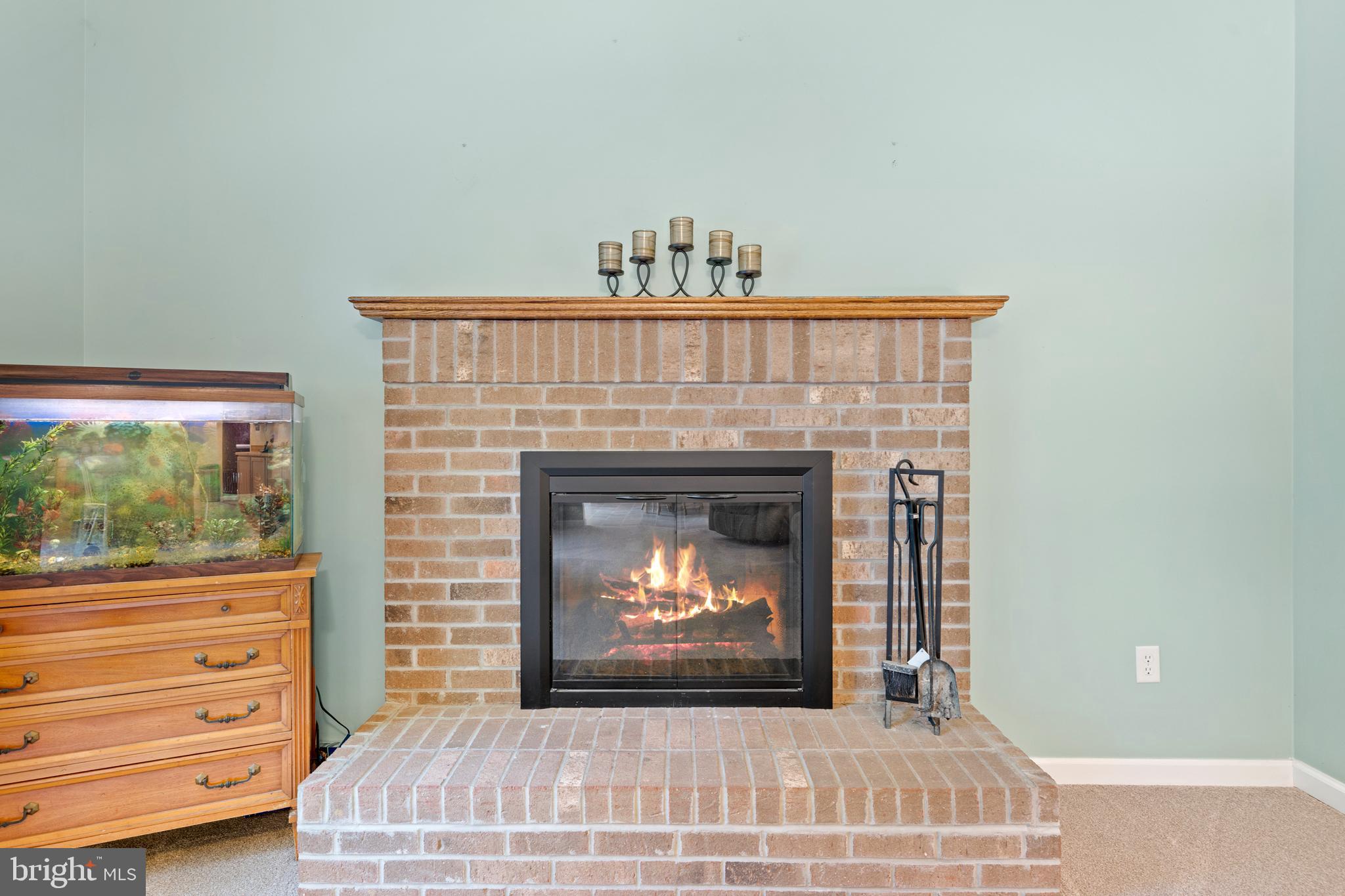 9140 Mudd Road Bel Alton, MD 20611 - Photo 24 of 60 Wood-burning fireplace