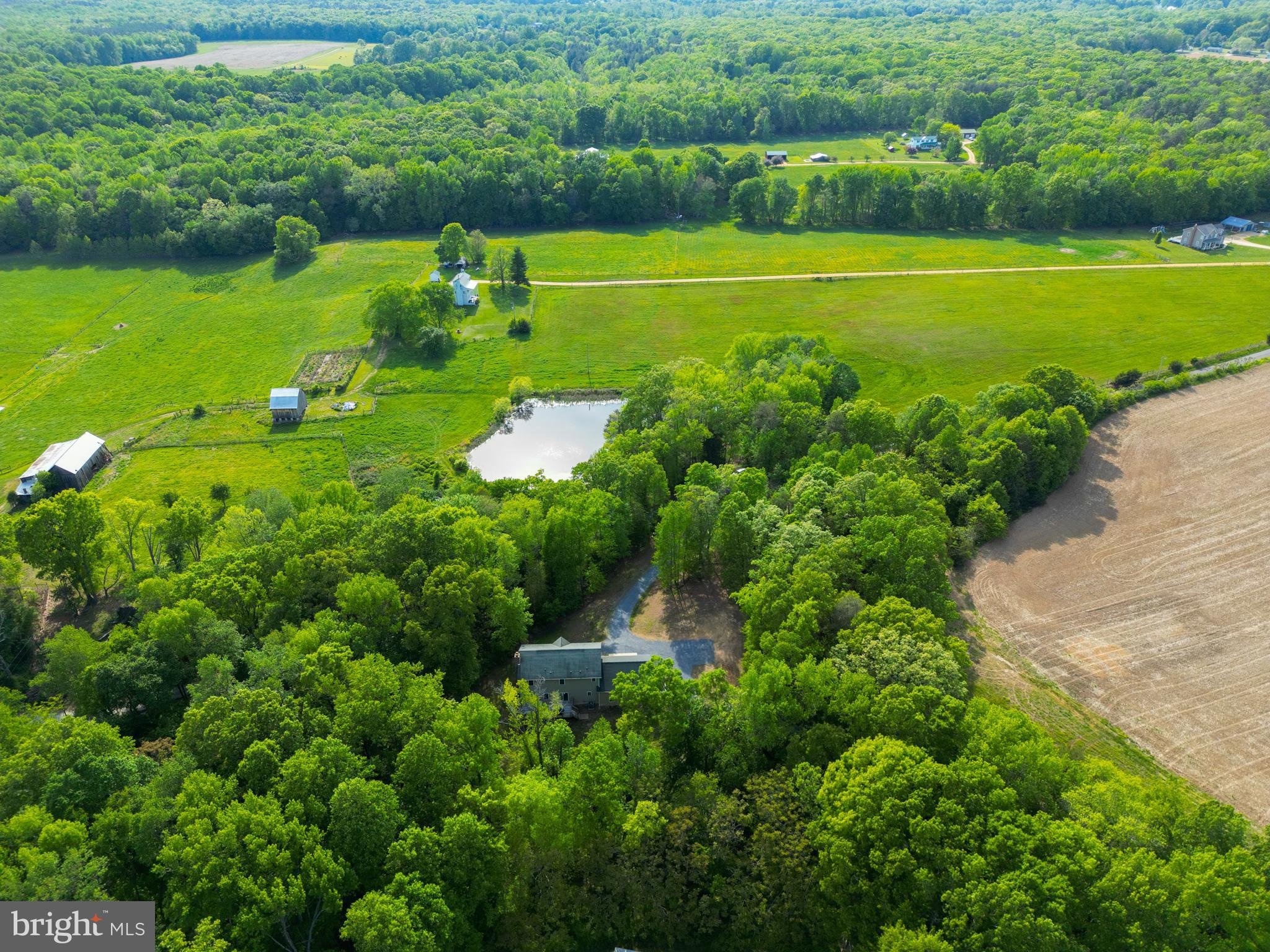 9140 Mudd Road Bel Alton, MD 20611 - Photo 45 of 60 All the privacy you've been searching for!