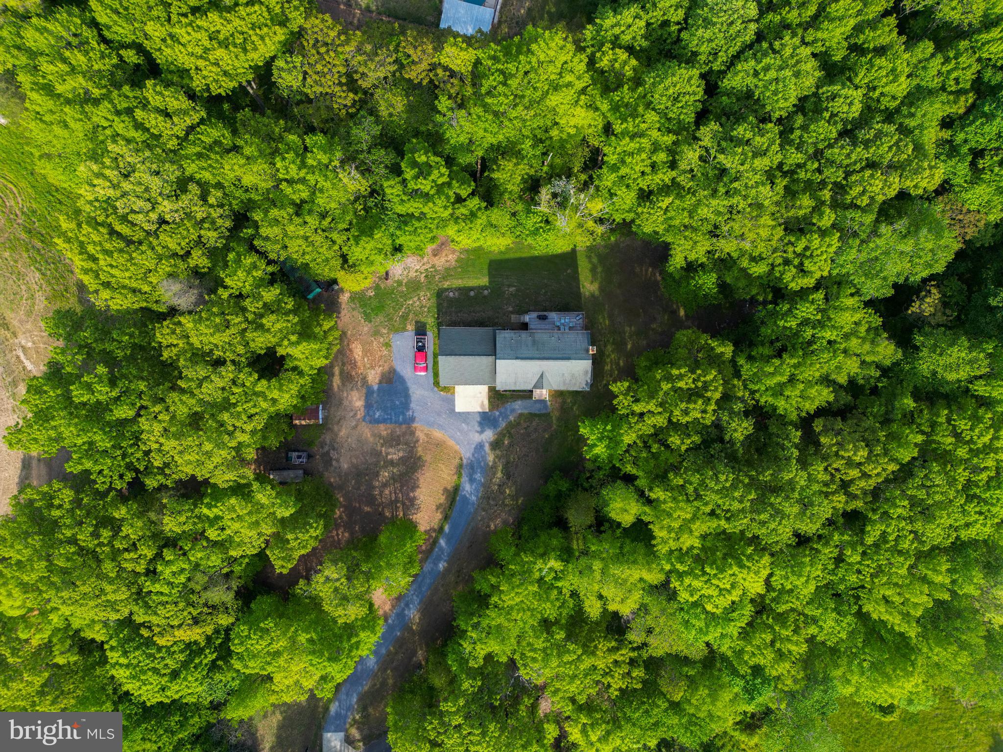 9140 Mudd Road Bel Alton, MD 20611 - Photo 48 of 60 All the privacy you've been searching for!