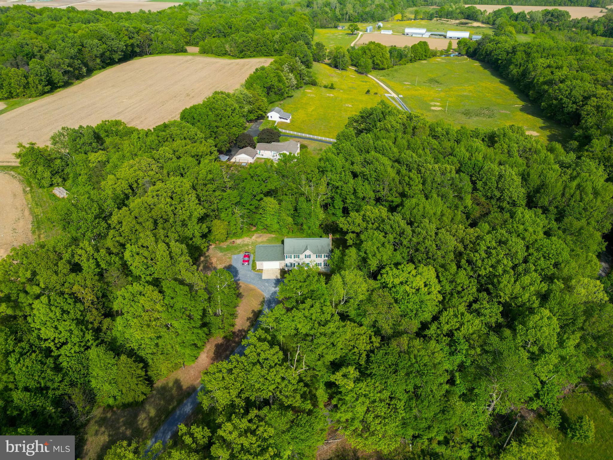 9140 Mudd Road Bel Alton, MD 20611 - Photo 51 of 60 All the privacy you've been searching for!