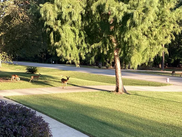 $845,000 | 1003 Mohawk Drive, Lincolnton, GA 30817