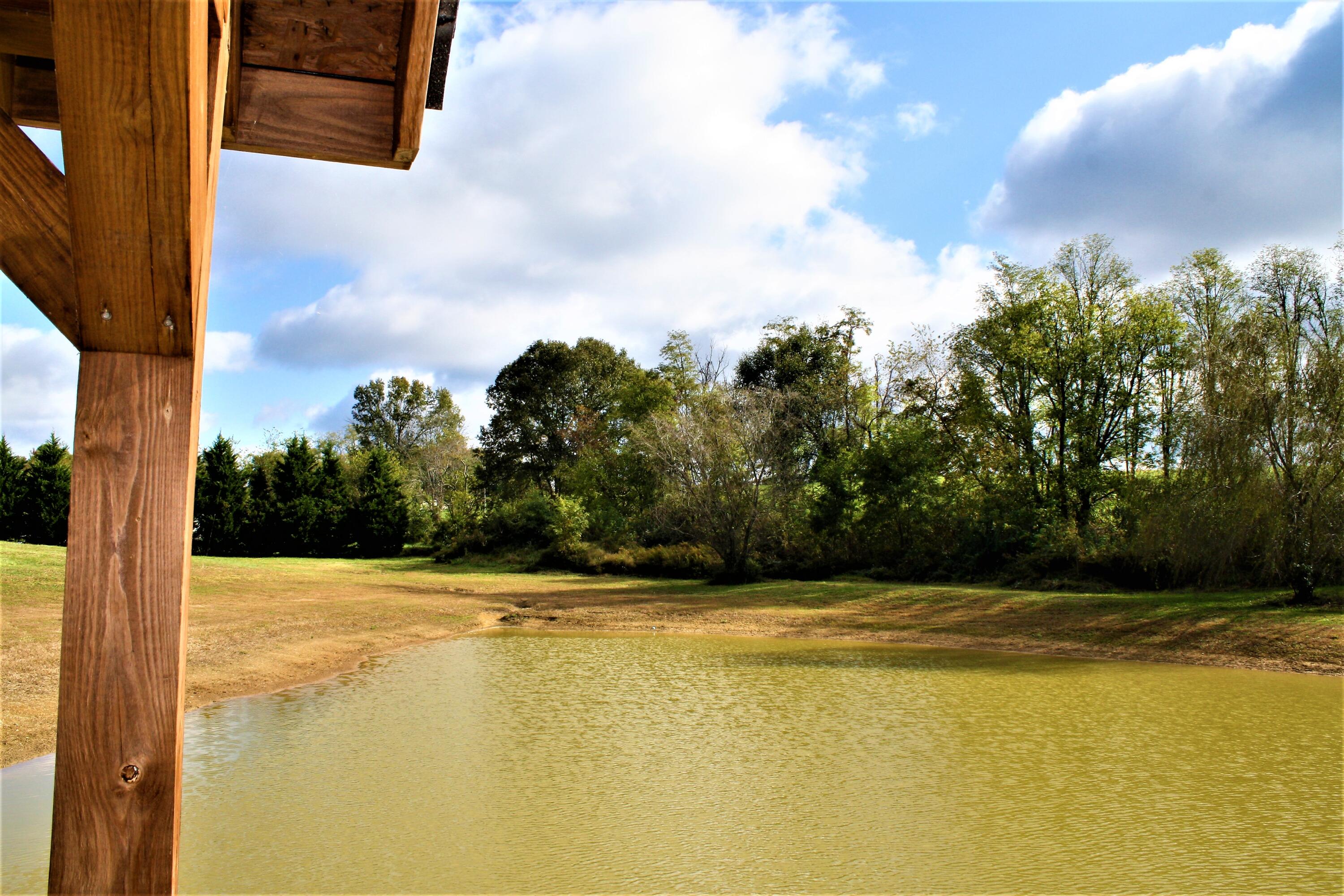 101 Starnes Road Telford, TN 37690 - Photo 76 of 133 IMG_6116