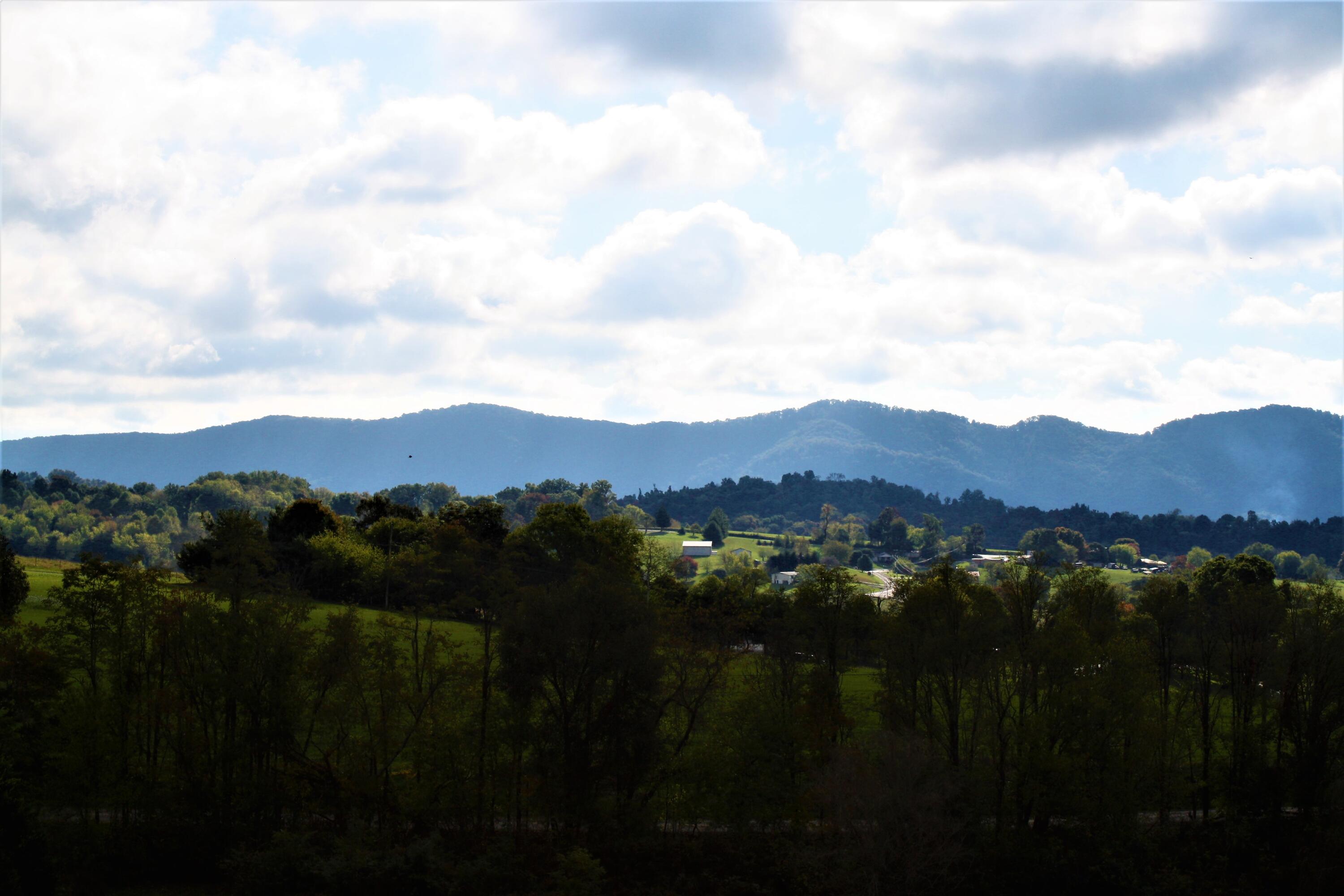 101 Starnes Road Telford, TN 37690 - Photo 100 of 133 IMG_6040